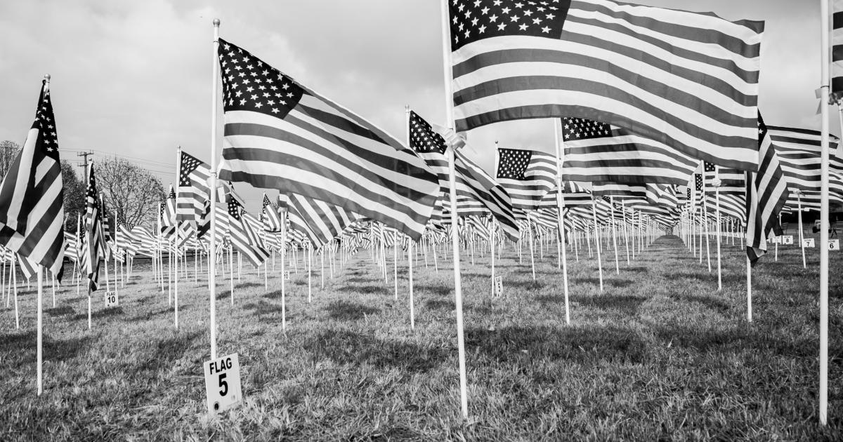 Veterans day program ideas for schools